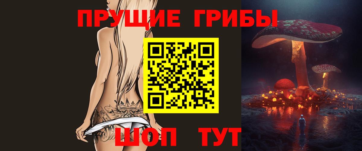 Кандалакша  Псилоцибиновые грибы Psilocybine cubensis  Вход с VPN 